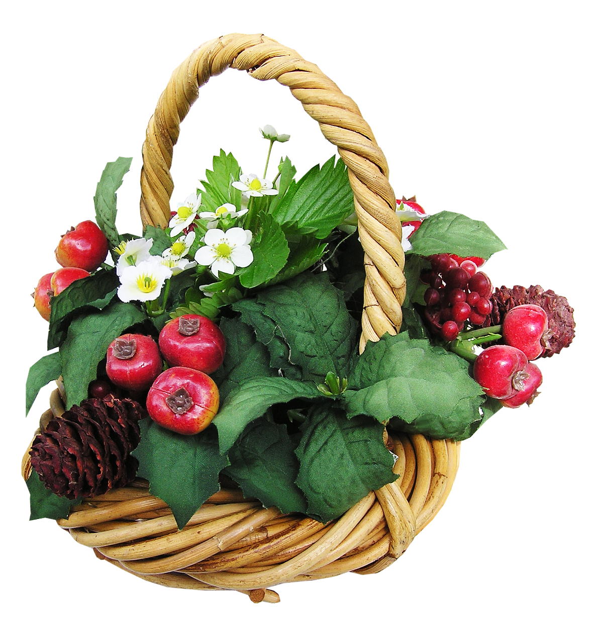 Cesta Silvestre