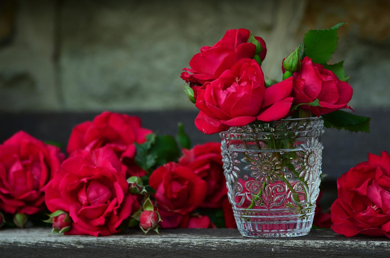 Docena de Rosas Rojas