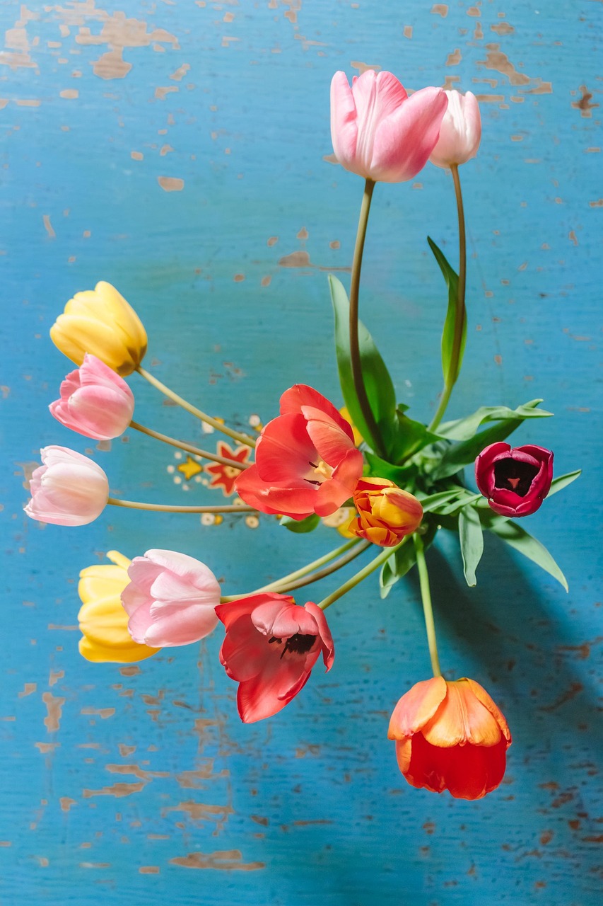 Ramo Primavera